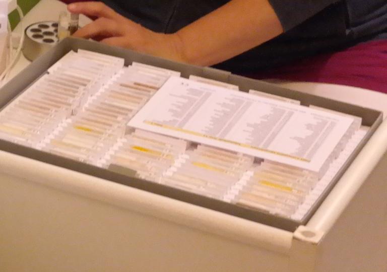 Austestung von Lebensmittel Allergien Gräser und Pollen